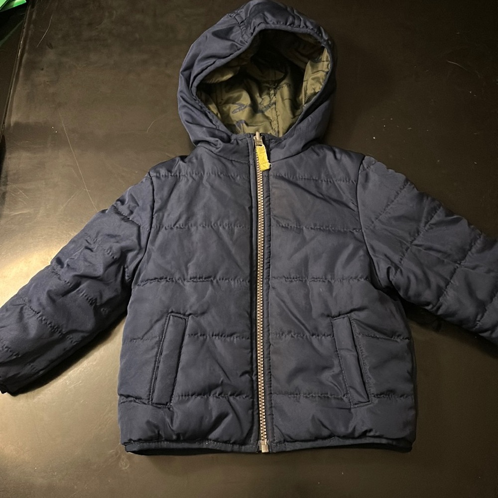 Blue green dinosaur coat reversible with pockets